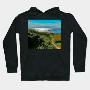 Nova Scotia beach path Hoodie